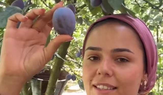 Eriğin kilosu toplama maliyetini karşılamadı: Akşehirli üreticiden görenleri şaşırtan davet!