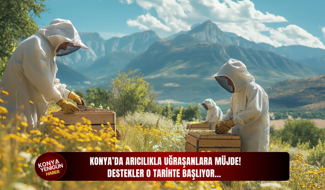 Konya’da arıcılıkla uğraşanlara müjde! Destekler o tarihte başlıyor…