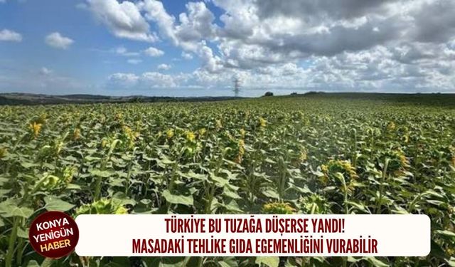 Masadaki tehlike Türkiye'nin gıda egemenliğini vurabilir!