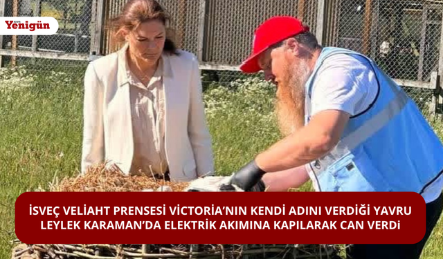 İsveç Veliaht Prensesi Victoria’nın kendi adını verdiği yavru leylek Karaman’da elektrik akımına kapılarak can verdi