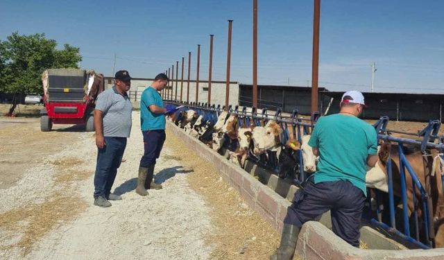 Konya tarımında saha mesaisi sürüyor!