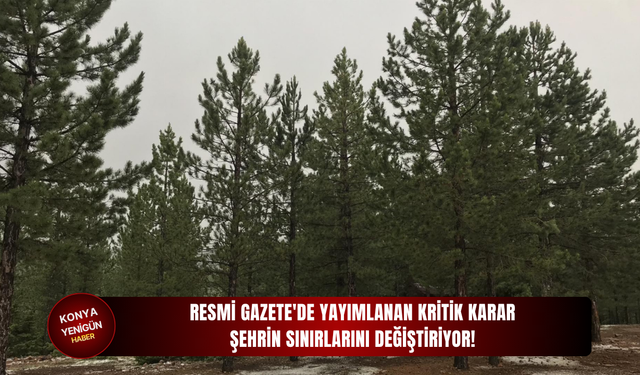 Resmi Gazete'de yayımlanan kritik karar şehrin sınırlarını değiştiriyor!