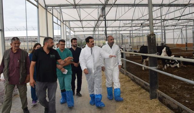 Karapınar’da şap hastalığına karşı ekipler işletmeleri tek tek geziyor!