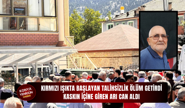 Kırmızı ışıkta başlayan talihsizlik ölüm getirdi: Kaskın içine giren arı can aldı