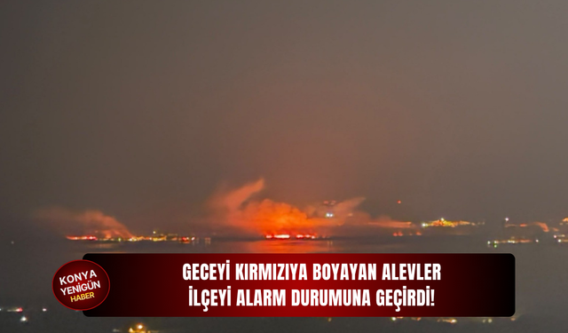 Geceyi kırmızıya boyayan alevler ilçeyi alarm durumuna geçirdi!