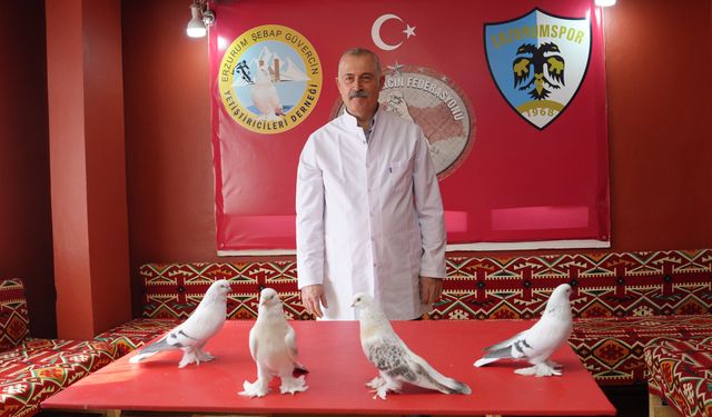 Emekli astsubayın sıra dışı sevdası: 40 güvercin için 3+1 ev kiraladı
