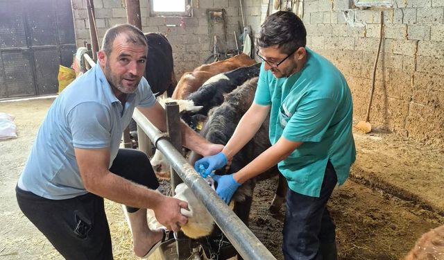 Beyşehir’de hayvancılığa aşı kalkanı!