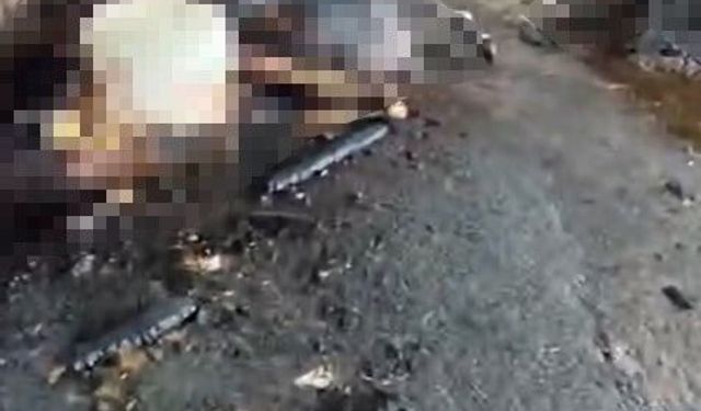 Ahır yangını felaketle sonuçlandı! Bilanço ağır oldu…