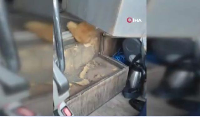 Kaçak göçmenler öyle bir yerde yakalandılar ki…