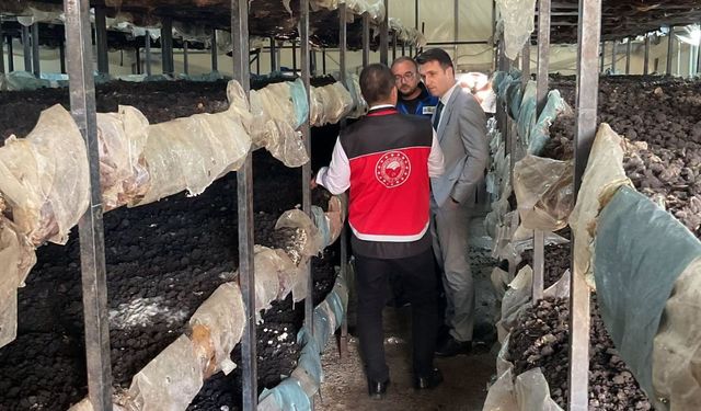 Akören’de yerinde inceleme ve sahada denetim!
