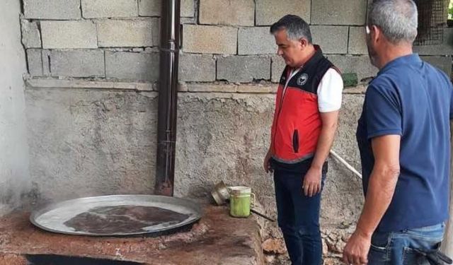 Konya tarımında Cuma mesaisi: Bozkır’da pekmez hasadı, Akören’de zararlı mücadelesi!