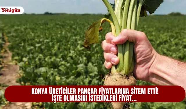 Konya üreticiler pancar fiyatlarına sitem etti! İşte olmasını istedikleri fiyat…