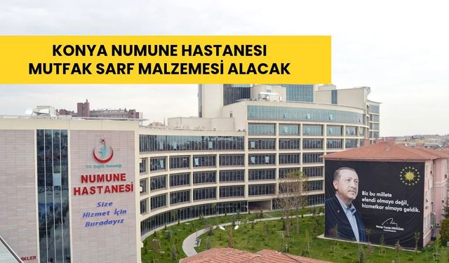 Konya Numune Hastanesi mutfak sarf malzemesi alacak