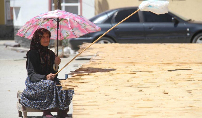 Ev hanımlarını yöresel tarhana telaşı sardı