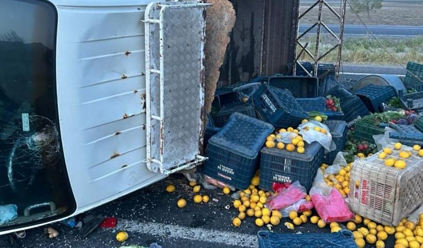 Karapınar'da kamyonet devrildi: 2 yaralı
