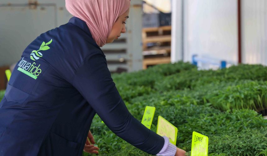 Bahar geldi, Konya Fide'de satışlar başladı