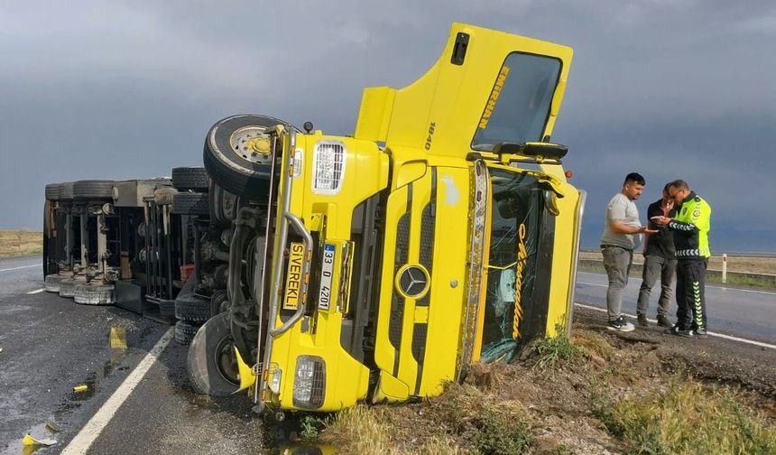 TIR devrildi içindeki angus cinsi hayvanlar kayıplara karıştı