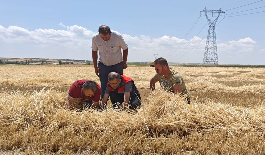 Tarım ekiplerinden biçerdöverlere sıkı denetim