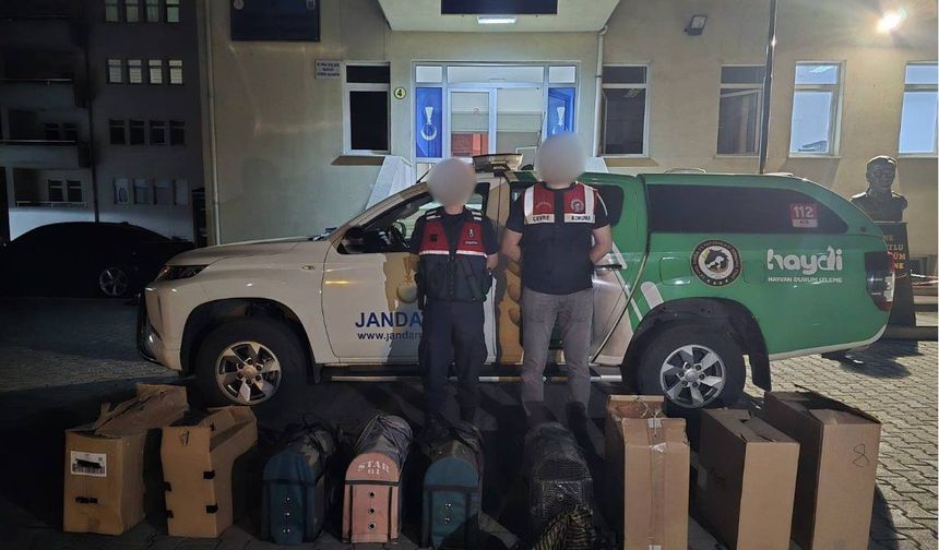 Jandarmadan horoz dövüşüne baskın