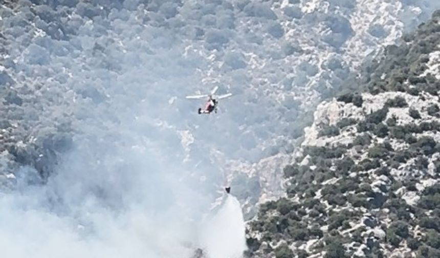 Orman yangınına havadan ve karadan müdahale