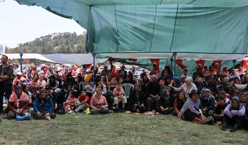 Dumanlı Yaylası'nda şölen