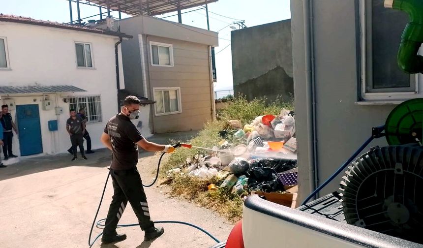 Çöp ev mahalleyi canından bezdirdi