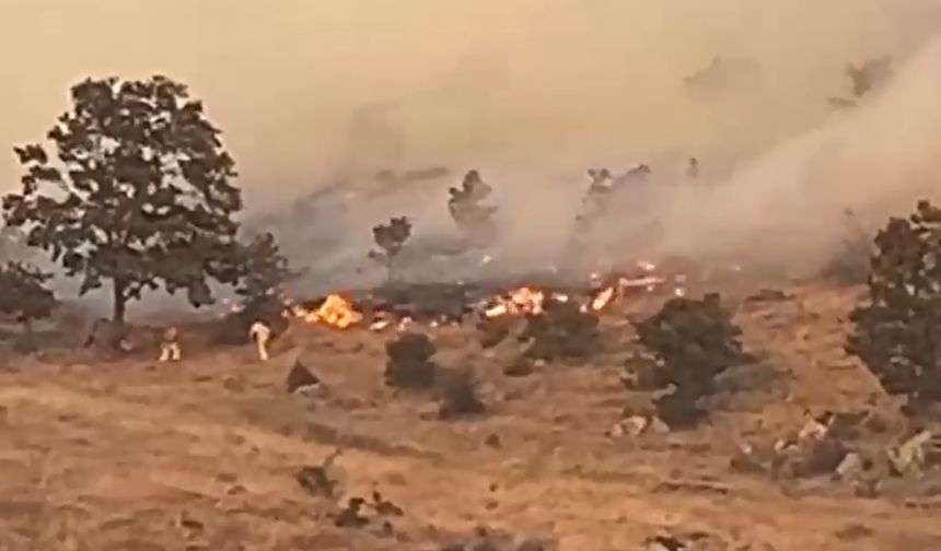 Yangının adresi bu kez komşu şehir!