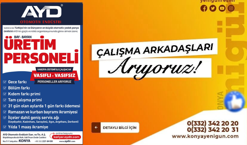 AYD iş ilanı