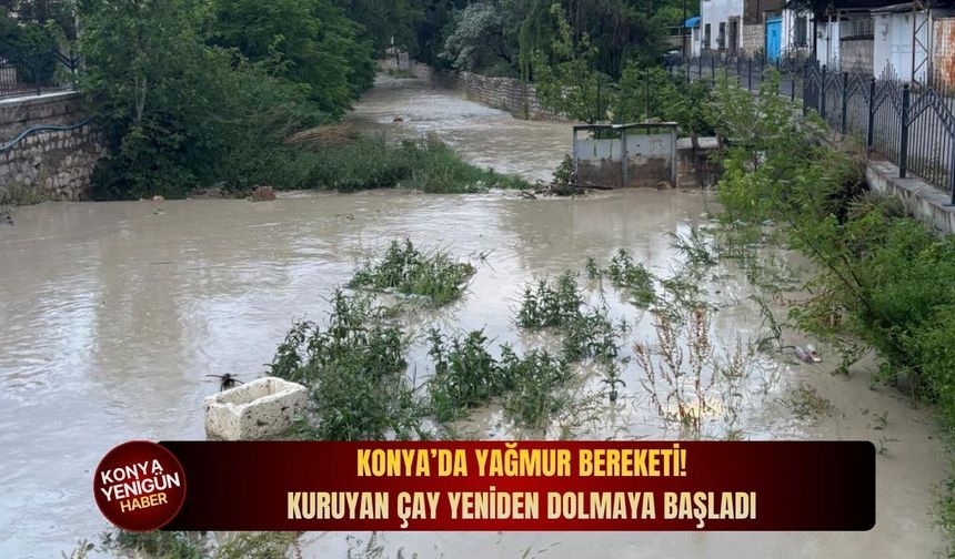 Konya’da yıllardır beklenen görüntü: Kuruyan çay yeniden canlandı