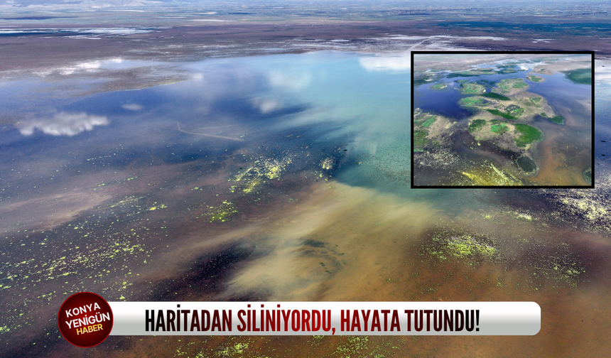 Konya'daki göl, haritadan siliniyordu, hayata tutundu!