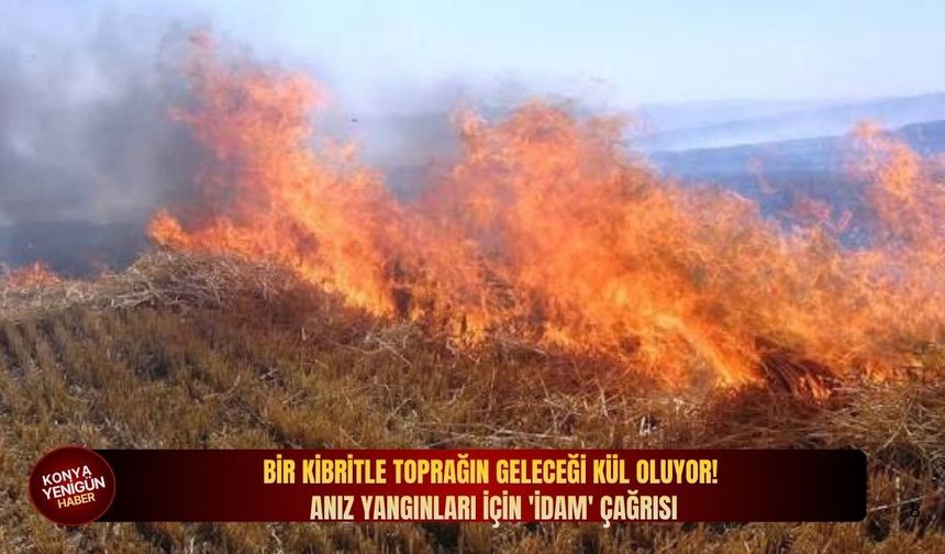 Bir kibritle toprağın geleceği kül oluyor! Anız yangınları için 'idam' çağrısı!