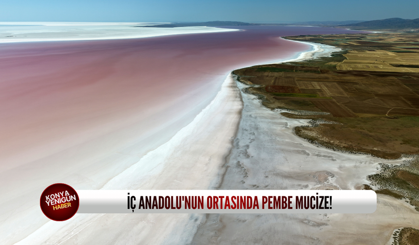 İç Anadolu'nun ortasında pembe mucize!