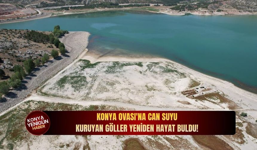 Konya Ovası'na can suyu: Kuruyan göller yeniden hayat buldu!