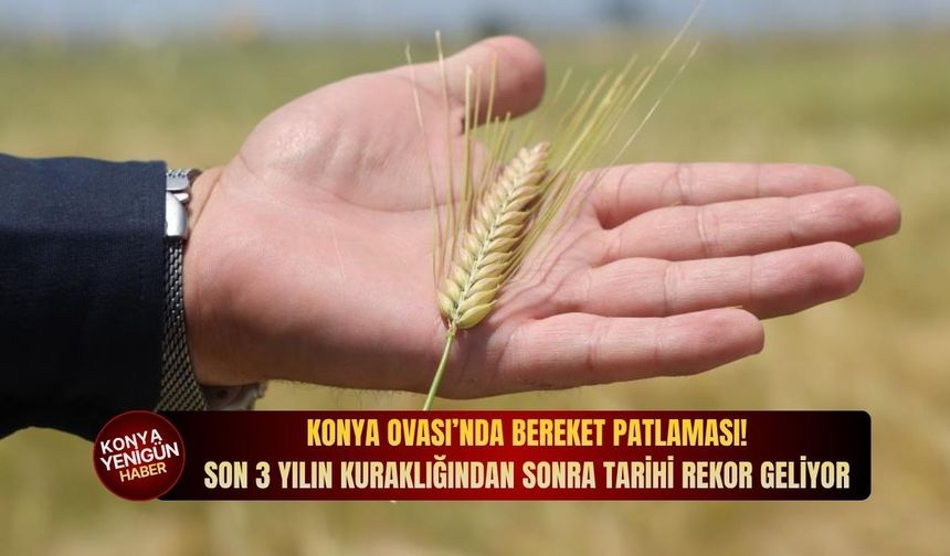 Konya Ovası’nda bereket patlaması: Son 3 yılın kuraklığından sonra tarihi rekor geliyor!
