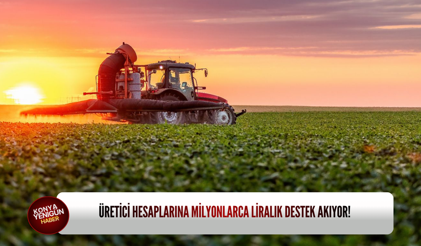 Üretici hesaplarına milyonlarca liralık destek akıyor!
