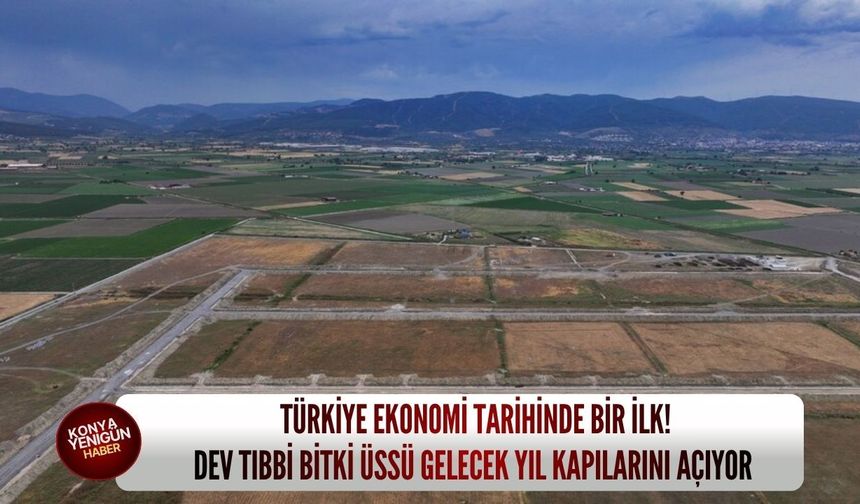 Türkiye ekonomi tarihinde bir ilk: Dev tıbbi bitki üssü gelecek yıl kapılarını açıyor