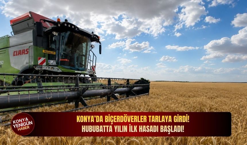 Konya’da biçerdöverler tarlaya girdi: Hububatta yılın ilk hasadı başladı!