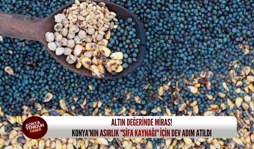 Altın değerinde miras! Konya’nın asırlık "şifa kaynağı" için dev adım atıldı