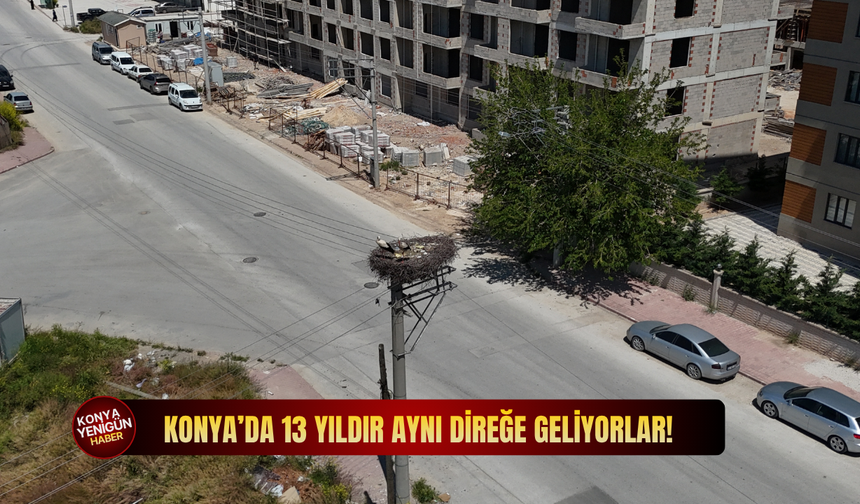 Konya'da 13 yıldır aynı direğe geliyorlar!