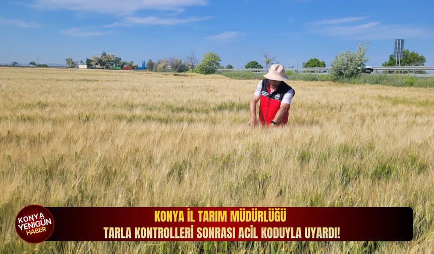 Konya İl Tarım Müdürlüğü tarla kontrolleri sonrası acil koduyla uyardı!