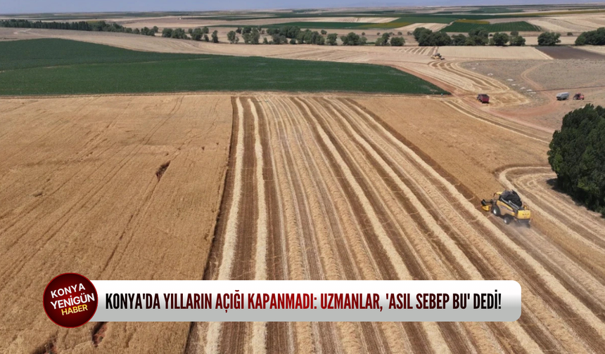 Konya'da yılların açığı kapanmadı: Uzmanlar, 'asıl sebep bu' dedi!