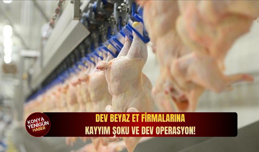 Dev beyaz et firmalarına kayyım şoku ve dev operasyon!