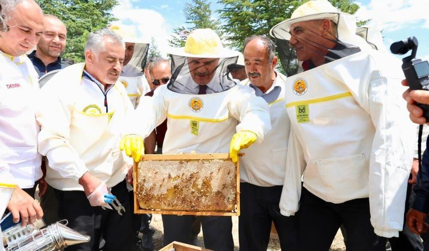 Konya’da bal hasadı heyecanı! Ladin Ormanları’nda sezonun ilk süzme balı alındı