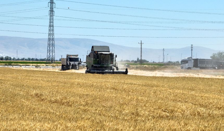 Selçuklu'da yıllardır boş duran arazilerden ilk hasat geldi