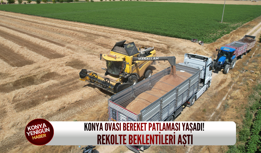 Konya Ovası bereket patlaması yaşadı! Rekolte beklentileri aştı