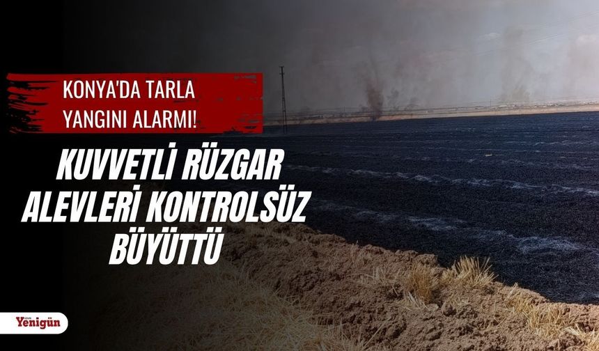 Konya'da tarla yangını alarmı! Kuvvetli rüzgar alevleri büyüttü, ekipler seferber oldu
