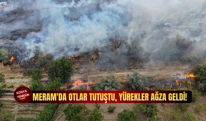 Meram'da otlar tutuştu, yürekler ağza geldi!