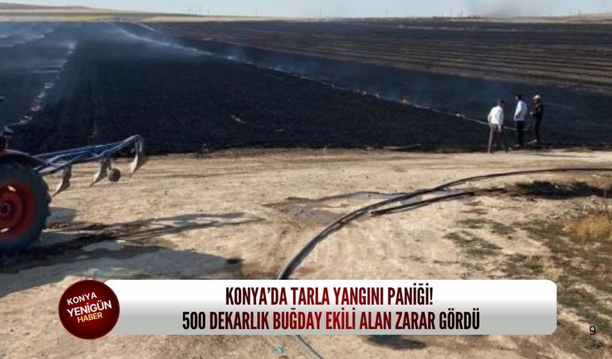 Konya’da tarla yangını paniği: 500 dekarlık buğday ekili alan zarar gördü
