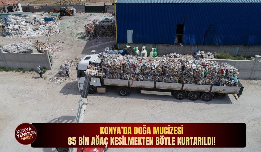 Konya’da doğa mucizesi: 85 bin ağaç kesilmekten böyle kurtarıldı!