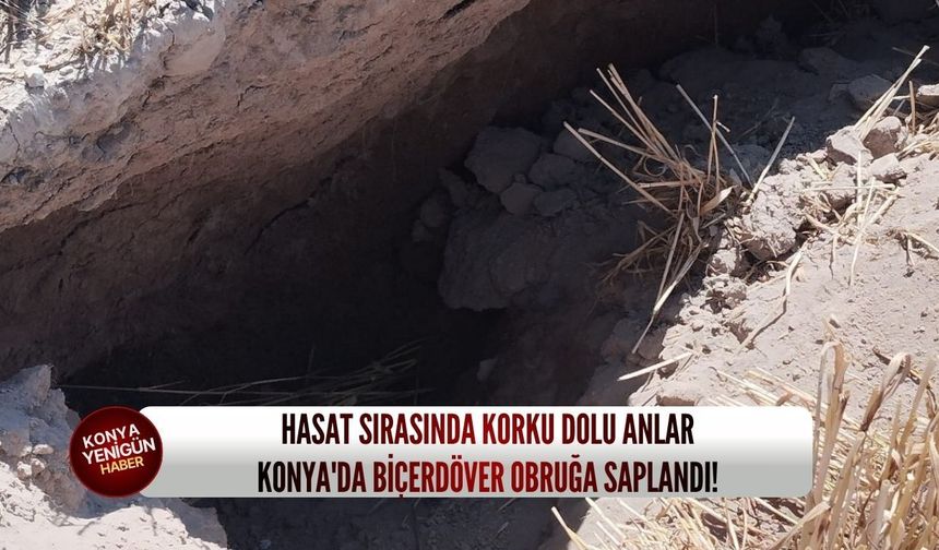 Hasat sırasında korku dolu anlar: Konya'da biçerdöver obruğa saplandı!